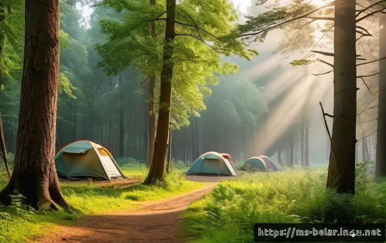 벨라루스에서 즐길 수 있는 캠핑 명소 - A serene early morning scene in Belovezhskaya Pushcha forest, featuring towering ancient trees with ...