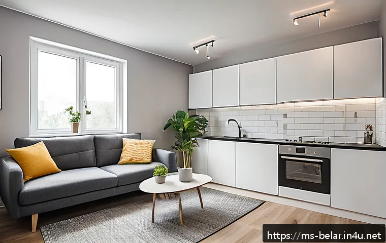 벨라루스에서 아파트와 주택 가격 비교 관련 이미지 2